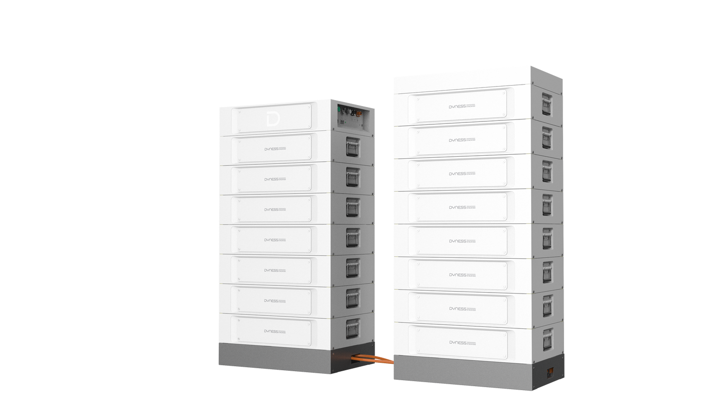 DYNESS HV Stack100 incl. BDU + AEROSOL tot 921 kWH