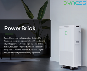 DYNESS PowerBrick Pro (14kWh) bis zu 716 kWh parallel